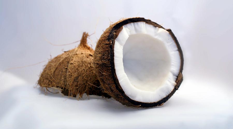 Pflege Kokosnuss