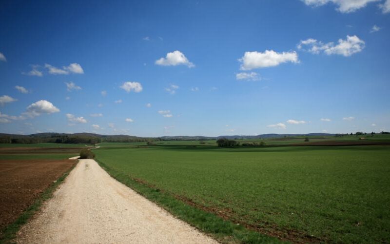 Alles zu seiner Zeit – der Lebensweg