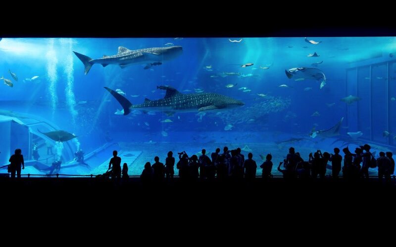 Aquarium