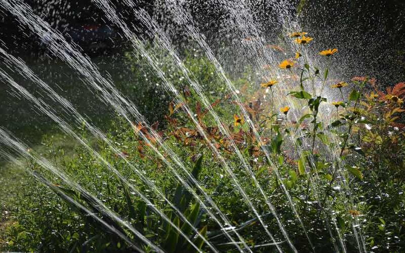 Der automatisierte Garten 