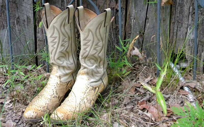 Der Cowboy im Manne