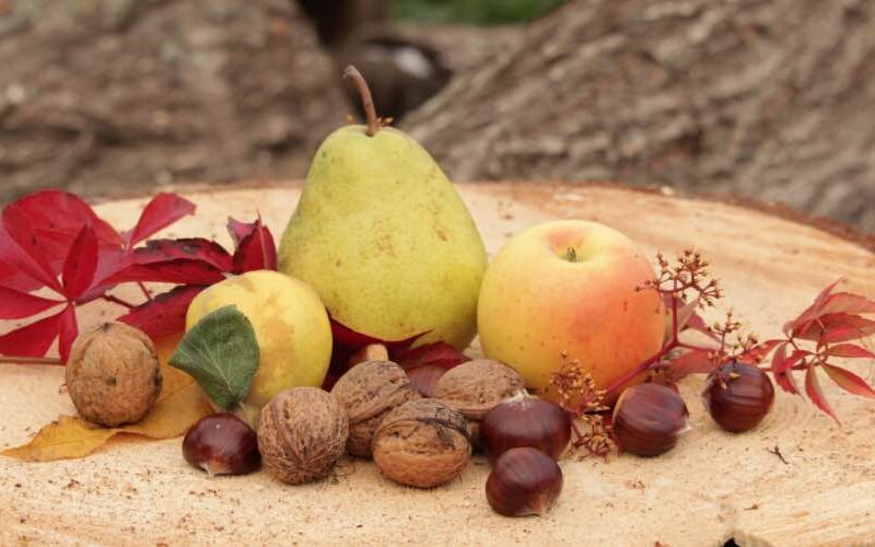Das Paleo Ernährungskonzept