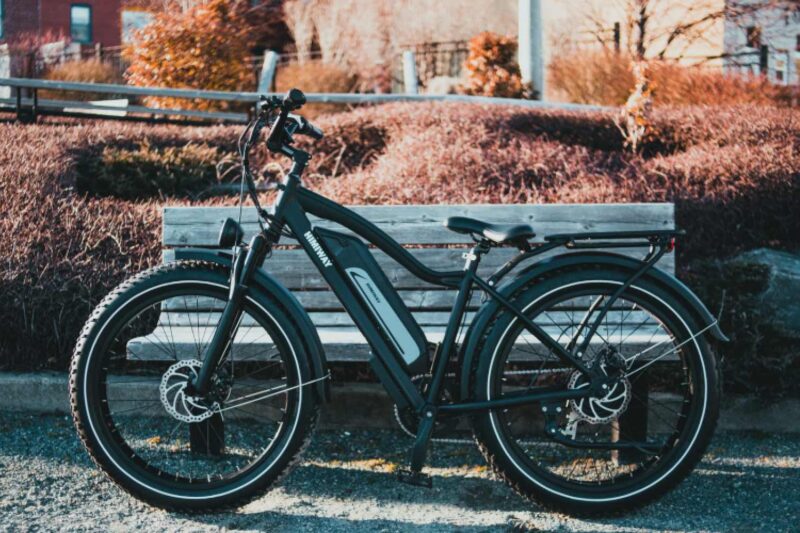 Voller Kraft voraus mit dem E-Bike