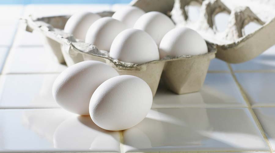 Eier Koerpergewicht