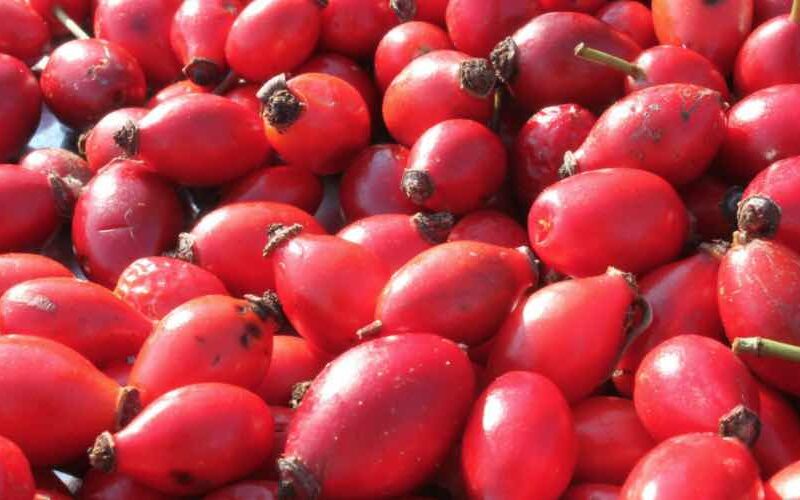 Freie Radikale meiden – Antioxidantien