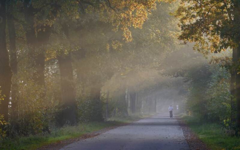 Gesund und fit in den Herbst starten