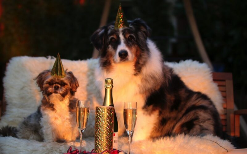 MERRY X-MAS UND HAPPY NEW YEAR