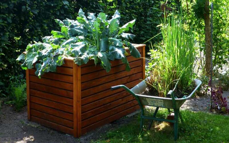 Ein Hochbeet bereichert jeden Garten