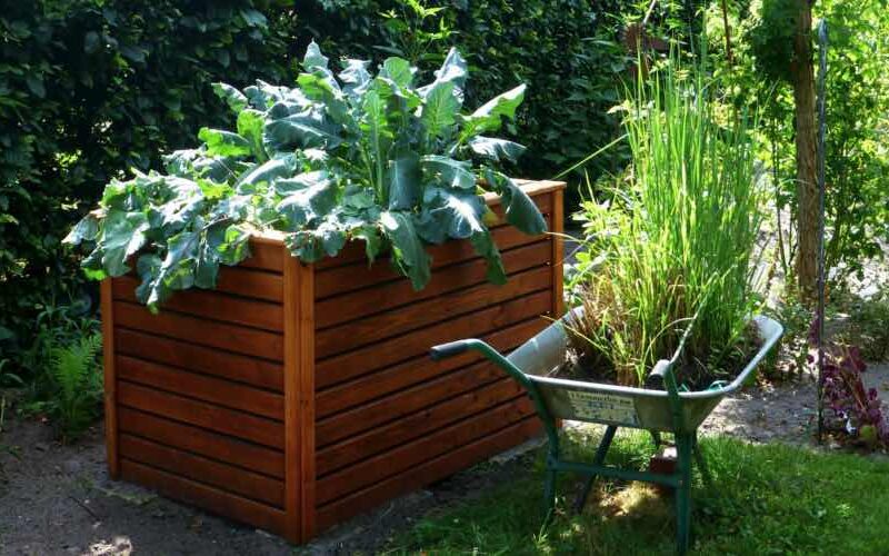 Hochbeet im Garten bauen
