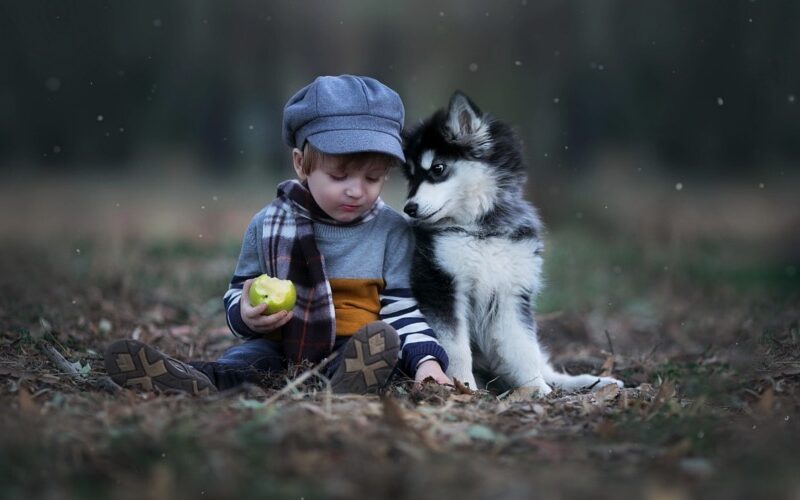 Welcher Hund tut der Beziehung gut?