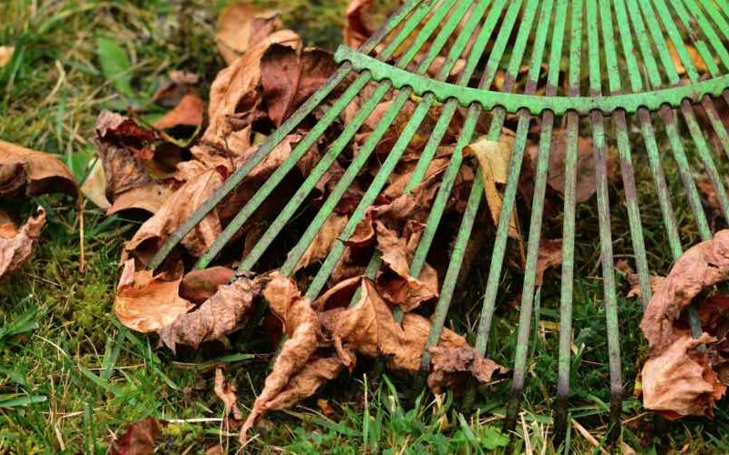 Laub im Garten verwerten