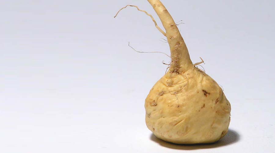Maca Pulver