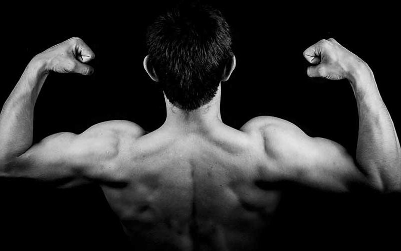 Testosteron: Ein ganz besonderes Hormon