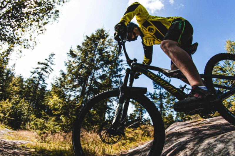 Die Qual der Wahl beim Mountainbike-Kauf: Welches Mountainbike ist das richtige für mich?