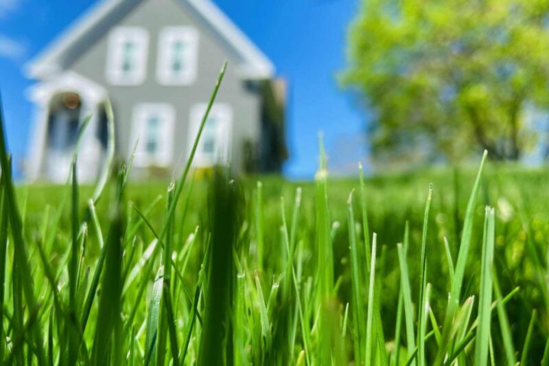 Objekte für die Gartenpflege 