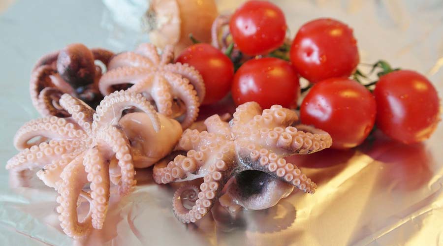 Pulpo Eiweiss