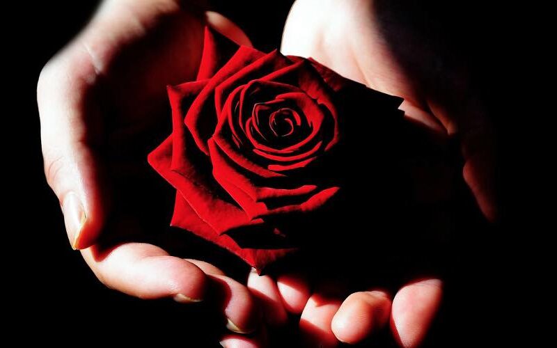 Sei bereit, der Valentinstag naht!