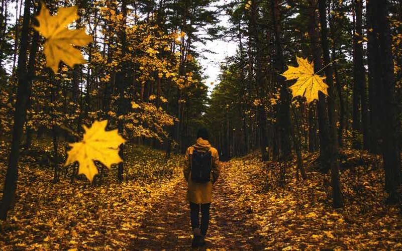 Der stilbewusste Mann im Herbst 2017