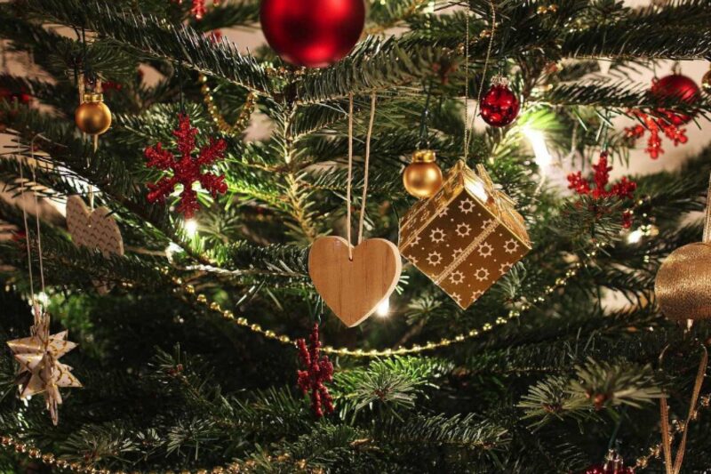 Tannenbaum auswählen