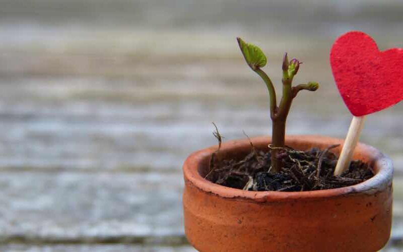 Der Spagat zwischen den Beziehungen 