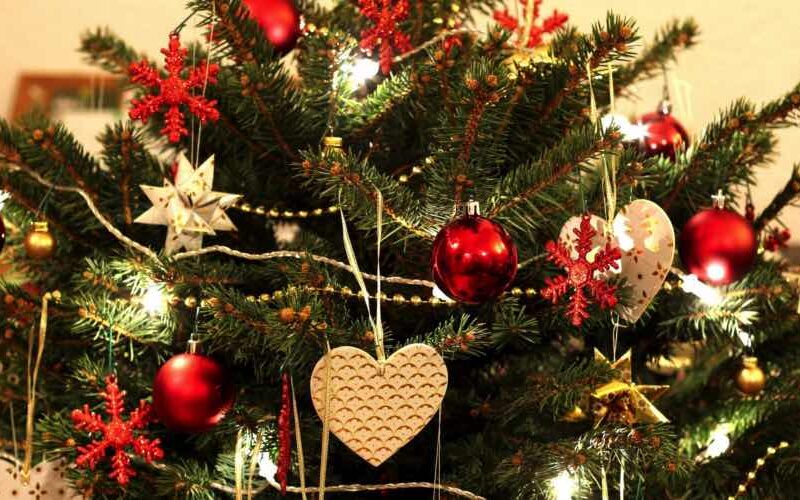 Schweizer Weihnachtsbäume