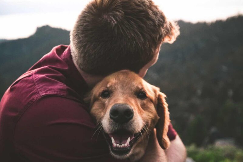 Des Mannes bester Freund – Sein Haustier