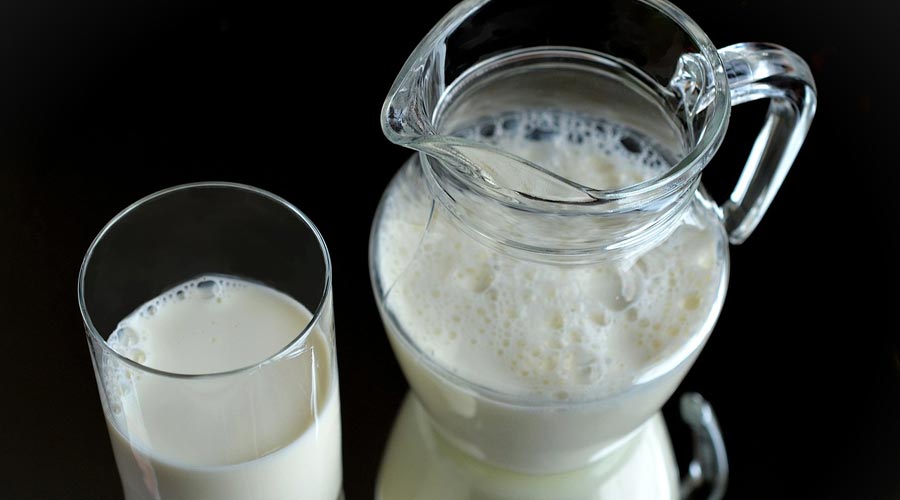 gluten laktose